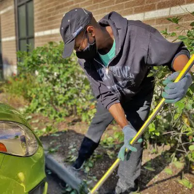 Landscaping / Outdoor Clean Up​